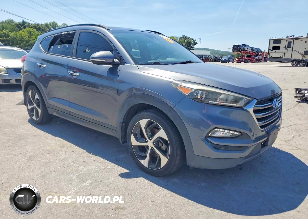2016 Hyundai Tucson Limited VIN:KM8J33A26GU209433 - 4