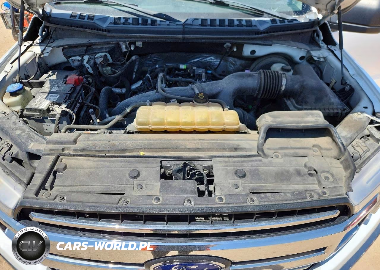 2019 Ford F150 Supercrew VIN:1FTEW1CP8KKD49546 - 11