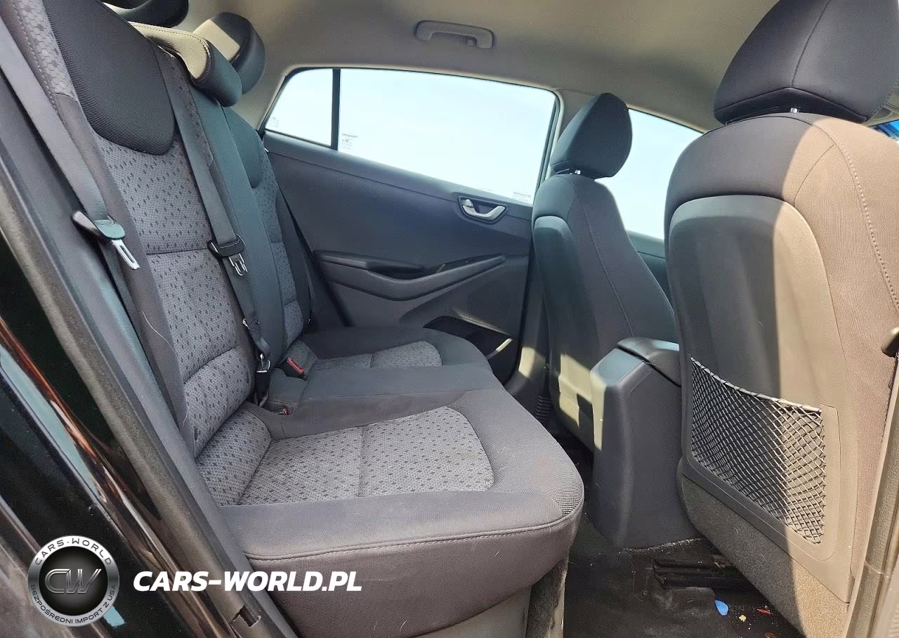 2019 Hyundai Ioniq Blue VIN:KMHC65LC8KU171259 - 10