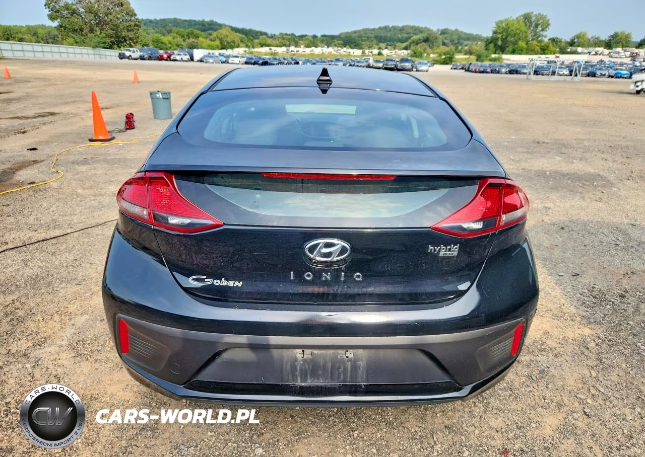 2019 Hyundai Ioniq Blue VIN:KMHC65LC8KU171259 - 6
