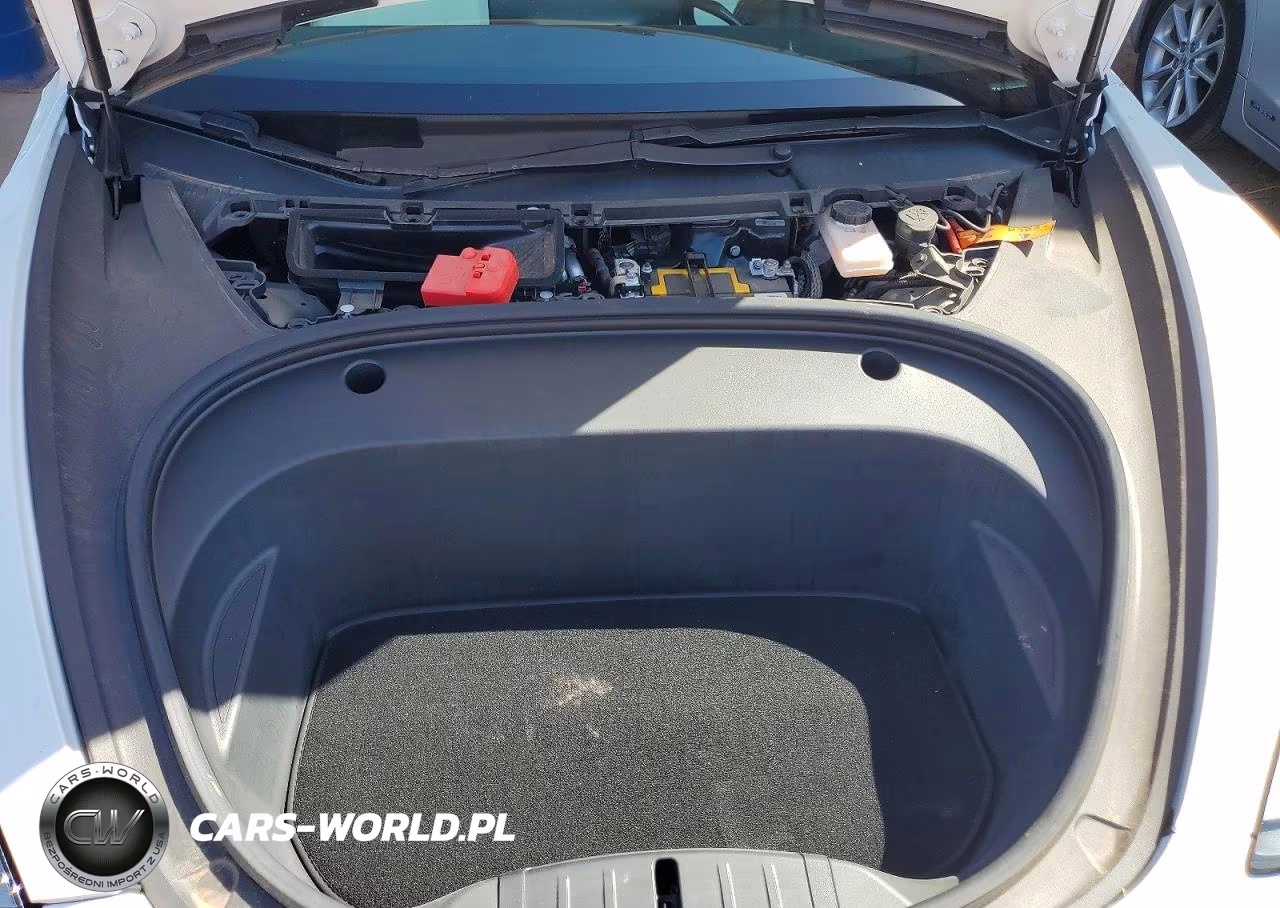 2021 Tesla Model 3 VIN:5YJ3E1EA9MF973214 - 11