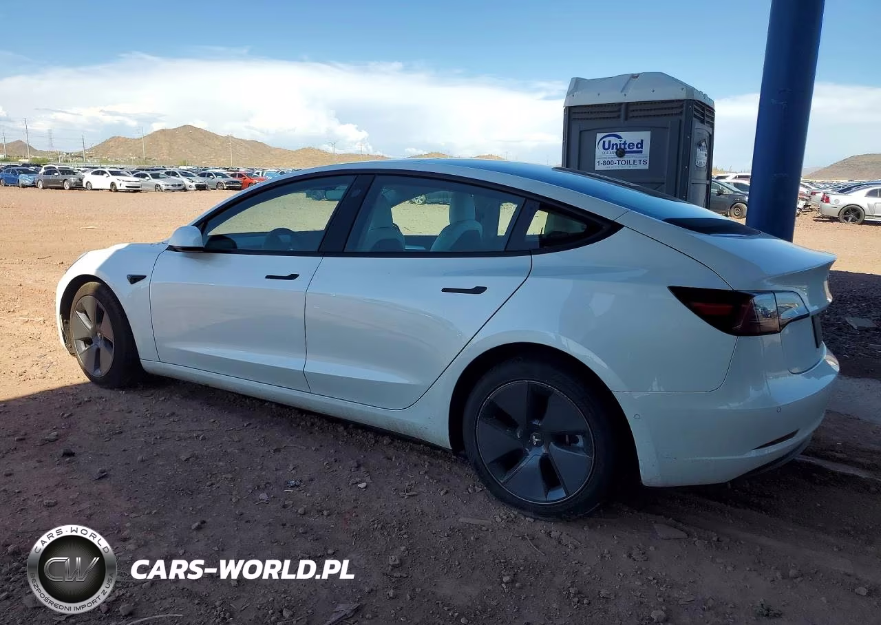 2021 Tesla Model 3 VIN:5YJ3E1EA9MF973214 - 2