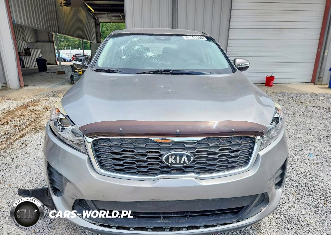 2019 Kia Sorento Lx VIN:5XYPG4A37KG545698 - 5
