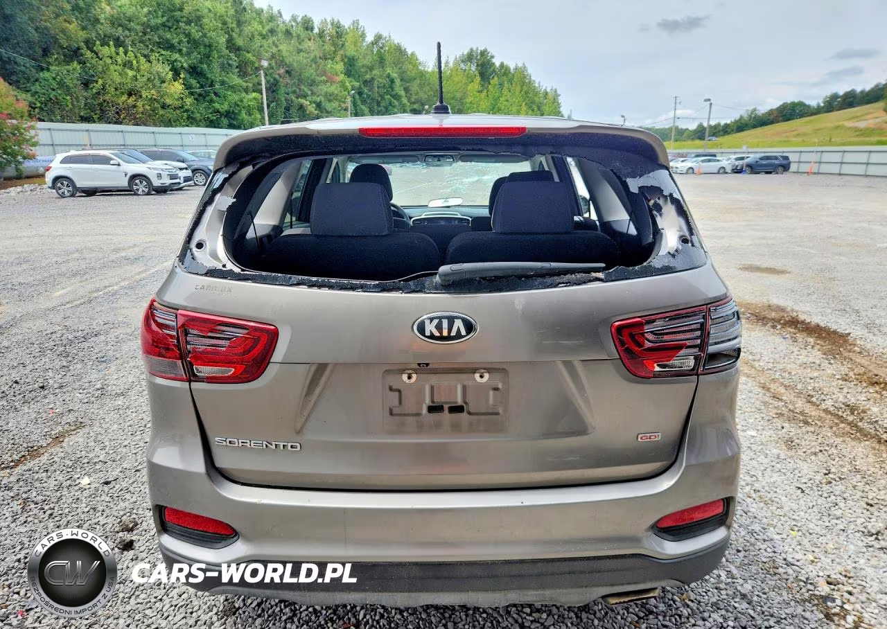 2019 Kia Sorento Lx VIN:5XYPG4A37KG545698 - 6