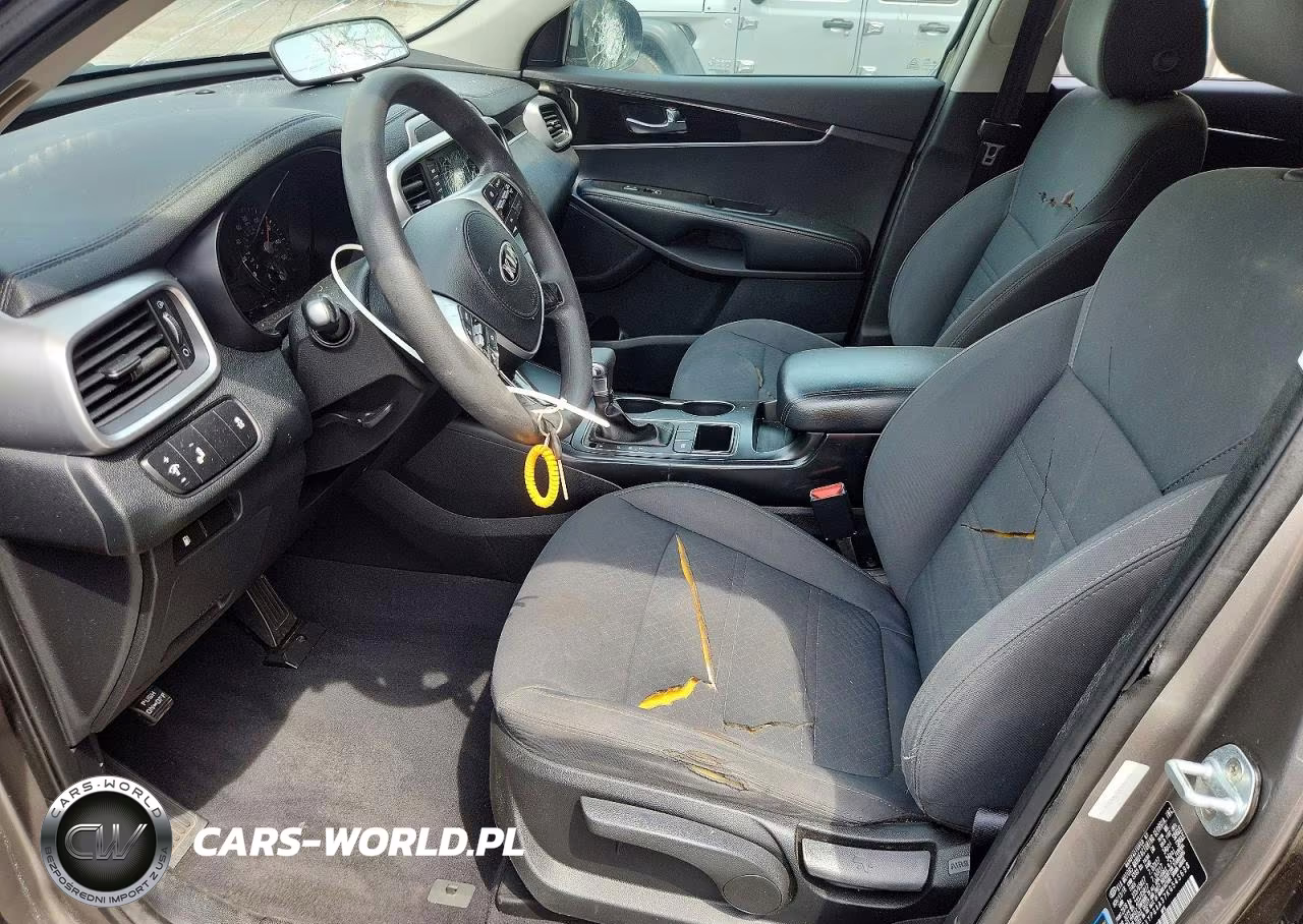 2019 Kia Sorento Lx VIN:5XYPG4A37KG545698 - 7