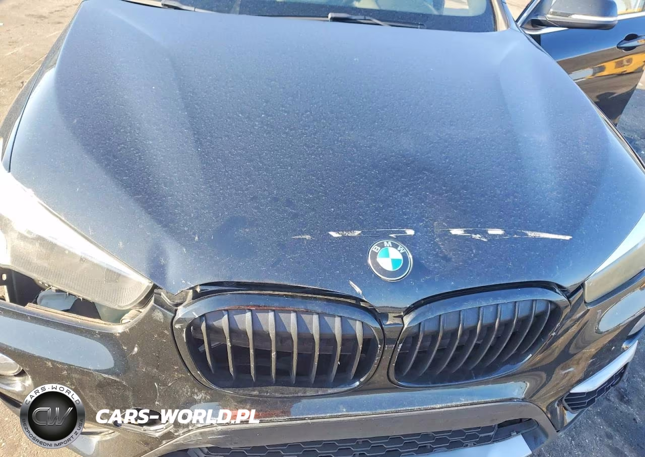 2019 BMW X1 Sdrive28I VIN:WBXHU7C51K5L10738 - 11