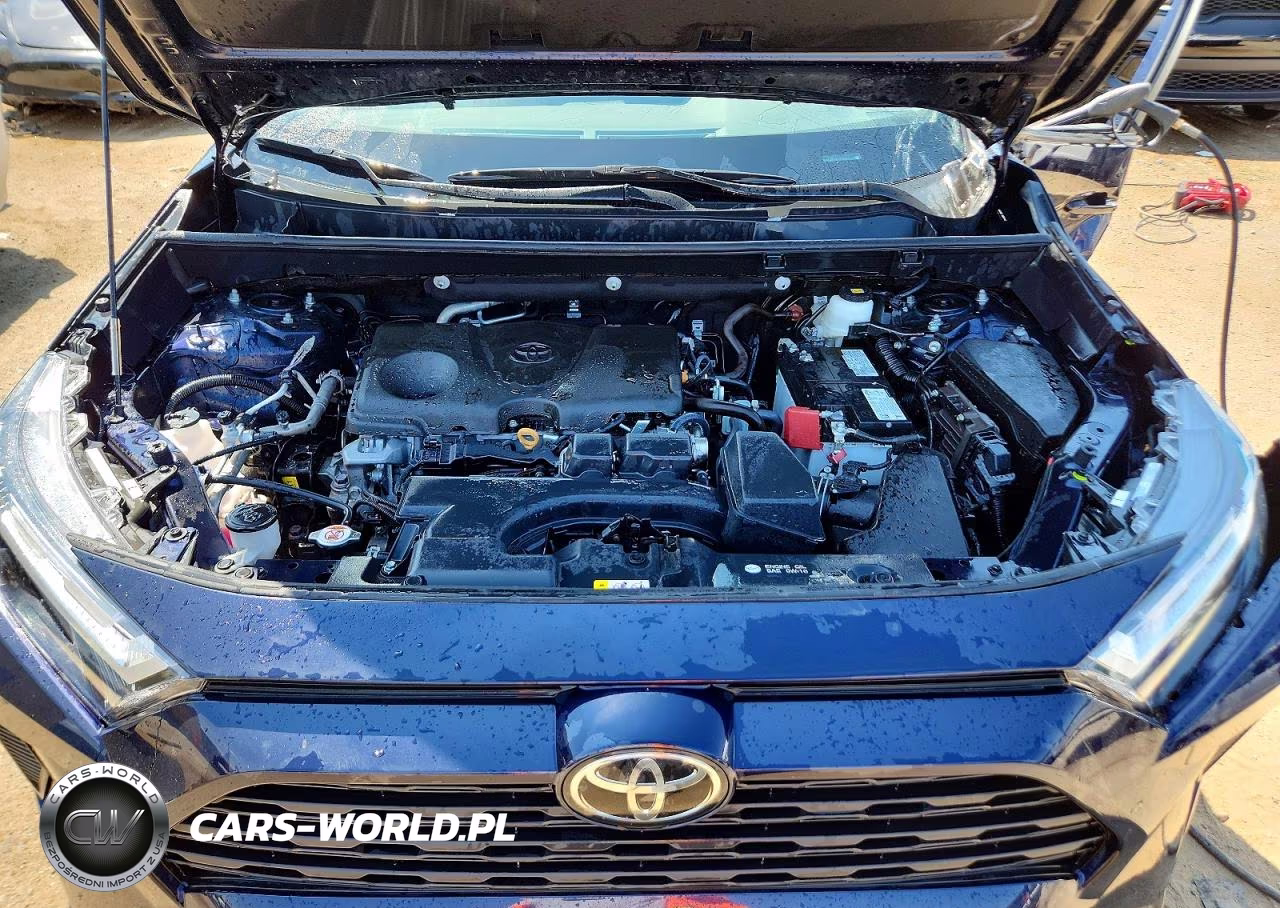 2025 Toyota Rav4 Xle VIN:2T3W1RFV7SW407312 - 12