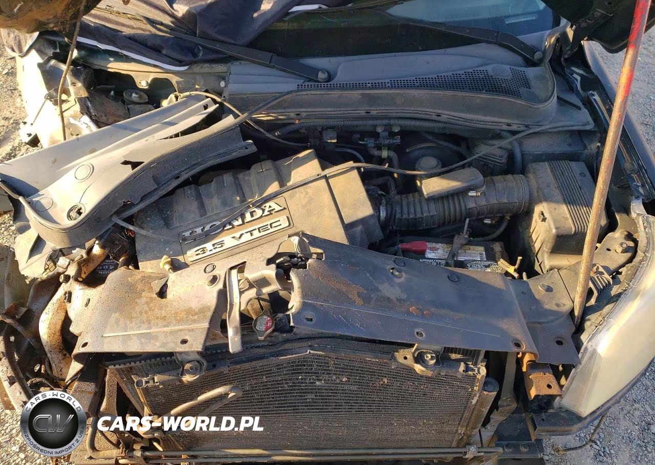 2007 Honda Pilot Exl VIN:5FNYF18677B024808 - 12