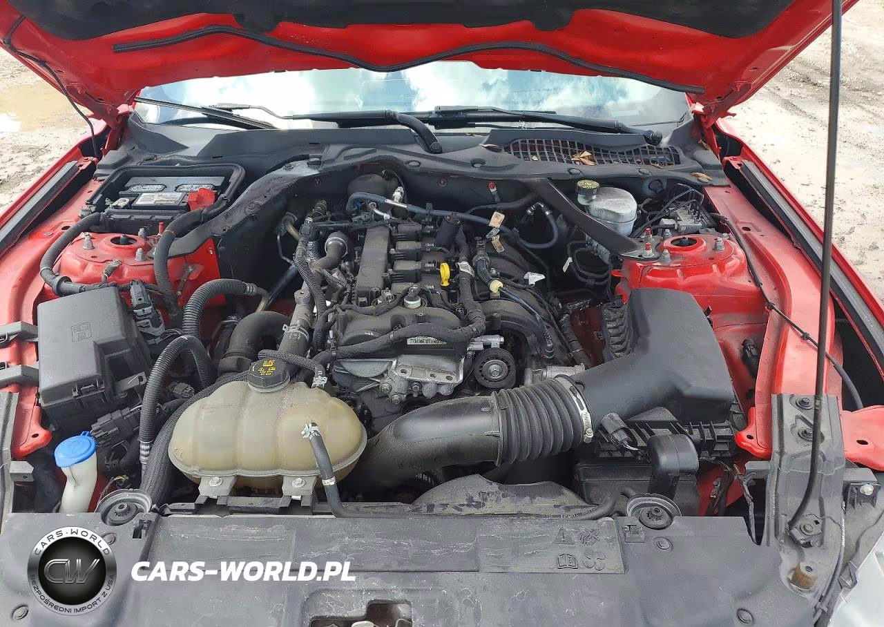 2021 Ford Mustang VIN:1FATP8UH8M5121364 - 11