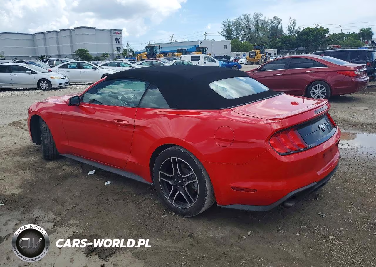 2021 Ford Mustang VIN:1FATP8UH8M5121364 - 2