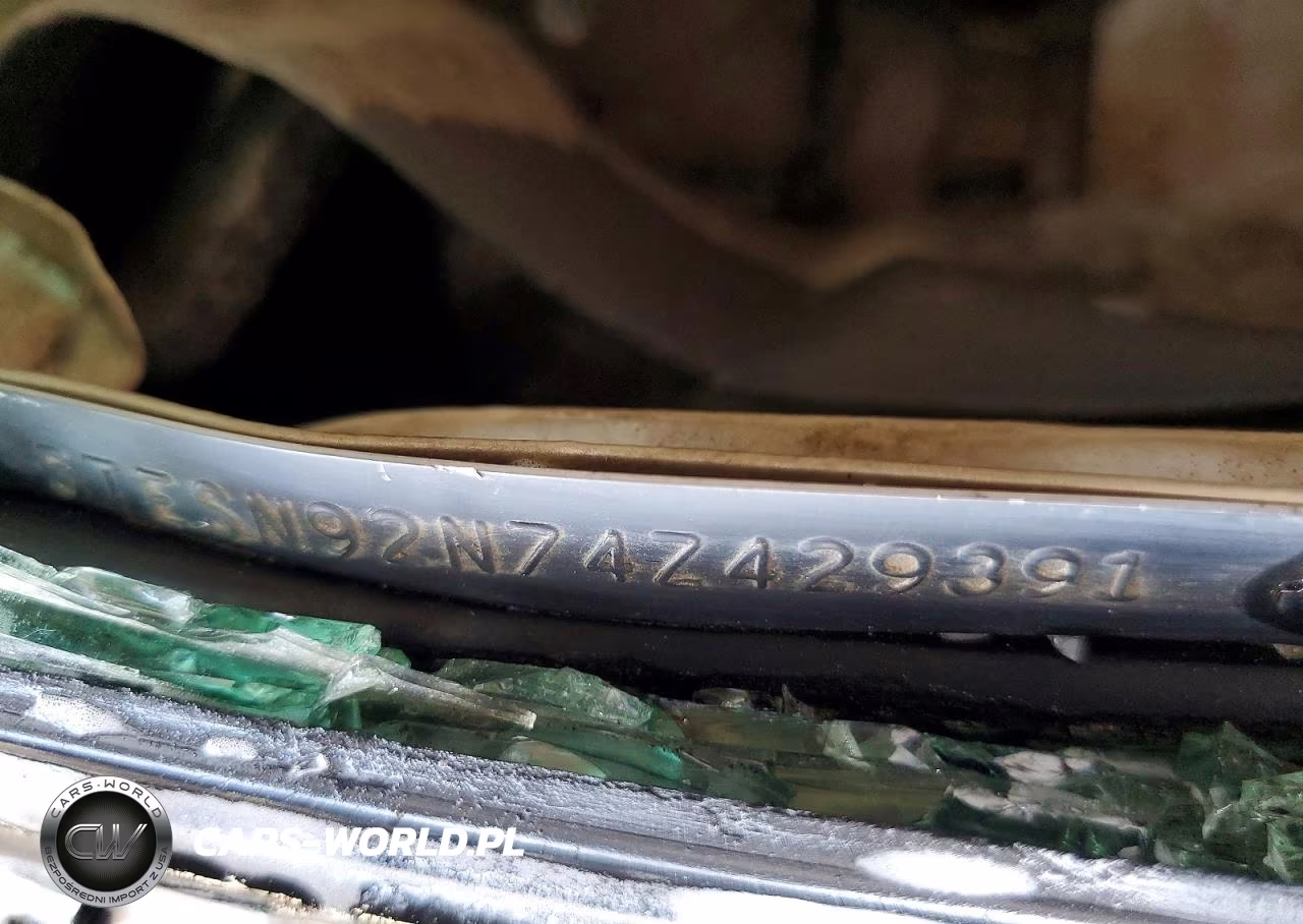 2004 Toyota Tacoma Prerunner V6 VIN:5TESN92N74Z429391 - 12