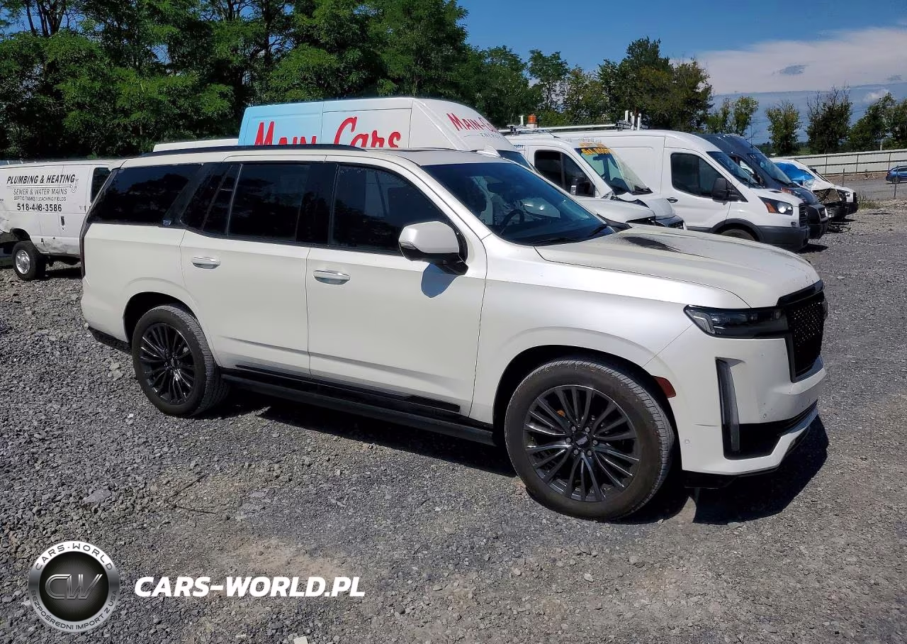 2022 Cadillac Escalade Sport Platinum VIN:1GYS4GKL2NR172198 - 4