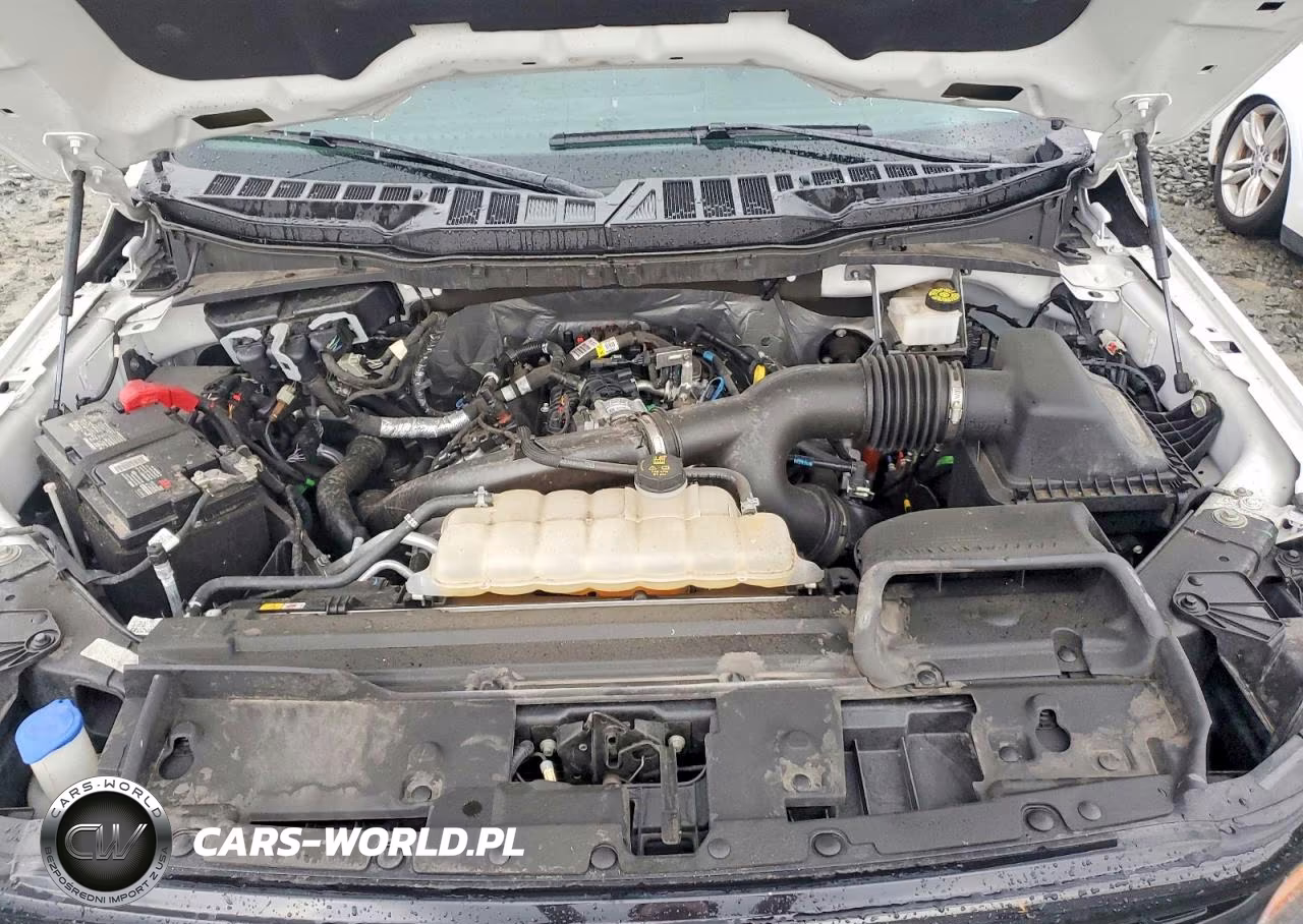 2024 Ford F150 Xlt VIN:1FTEW3LP6RKF16640 - 11