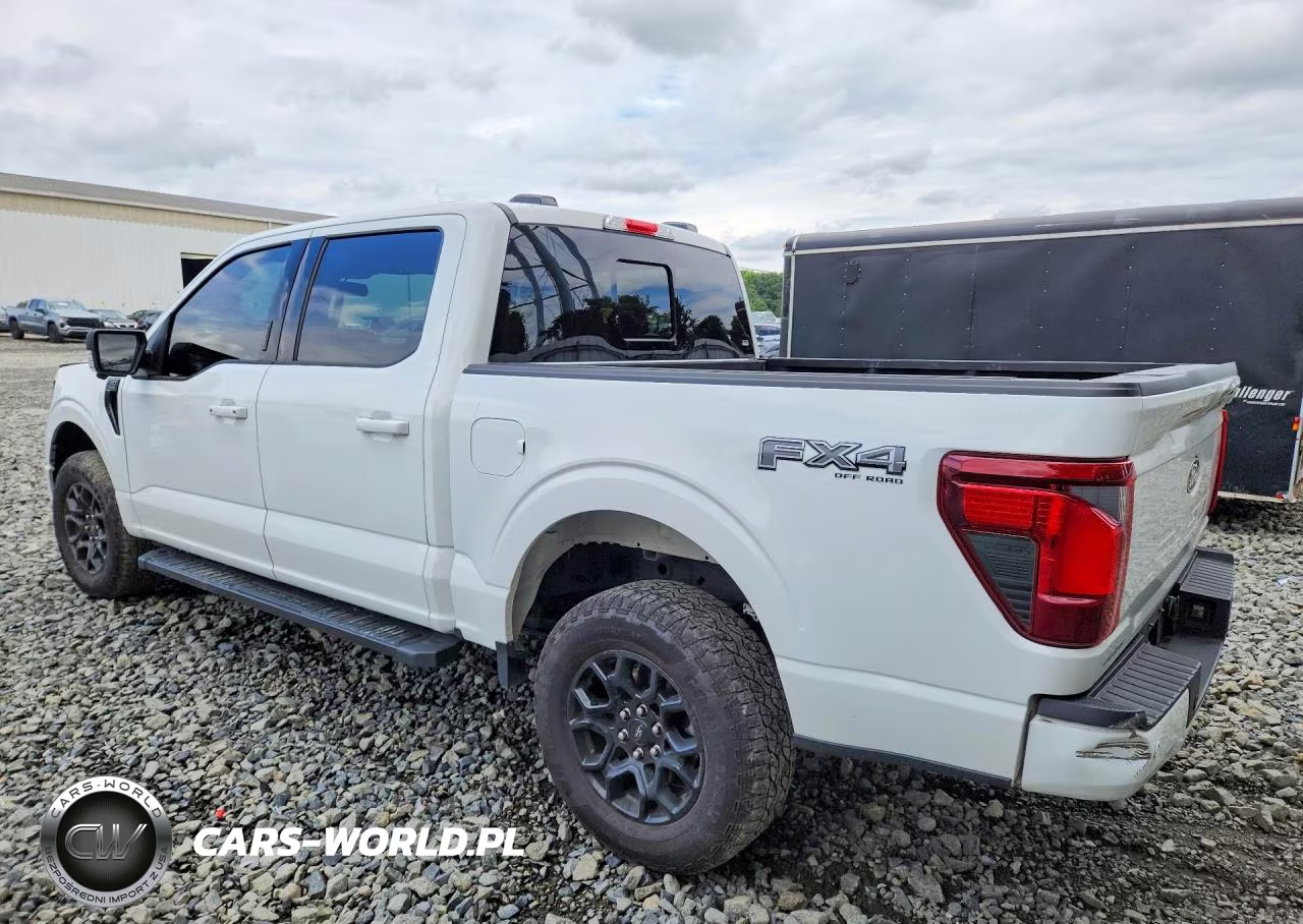 2024 Ford F150 Xlt VIN:1FTEW3LP6RKF16640 - 2