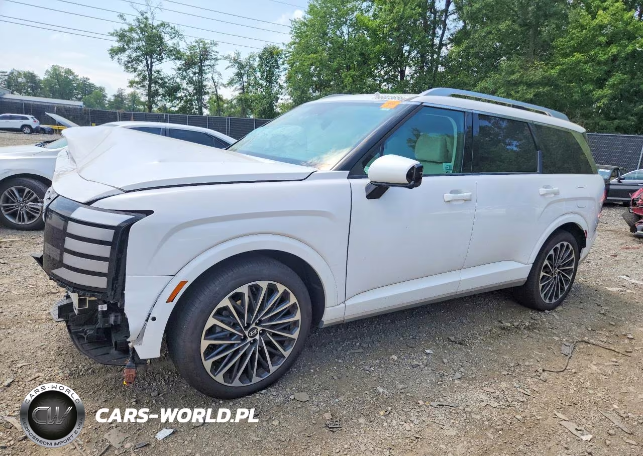2026 Hyundai Palisade Calligraphy VIN:KM8RMESA8TU049423 - 1