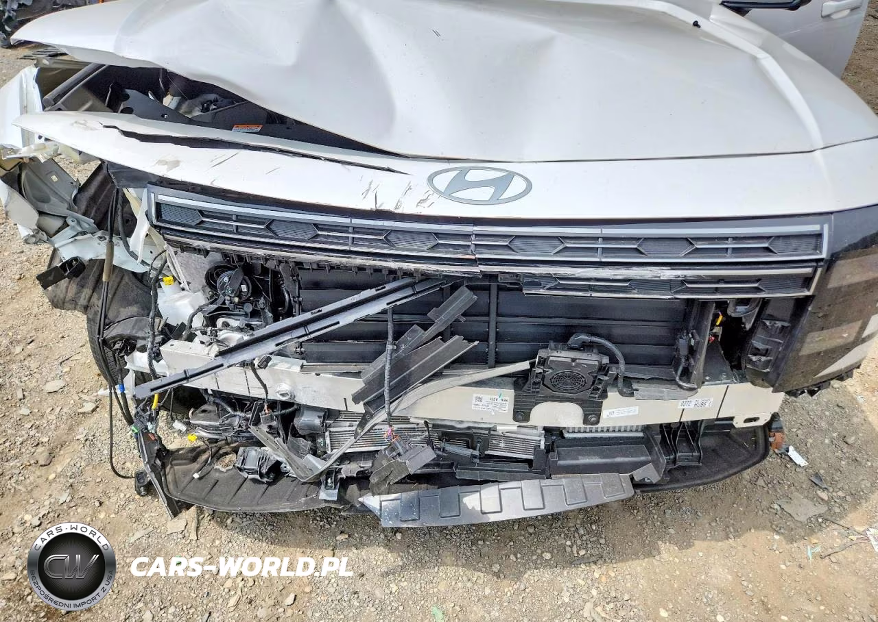 2026 Hyundai Palisade Calligraphy VIN:KM8RMESA8TU049423 - 12