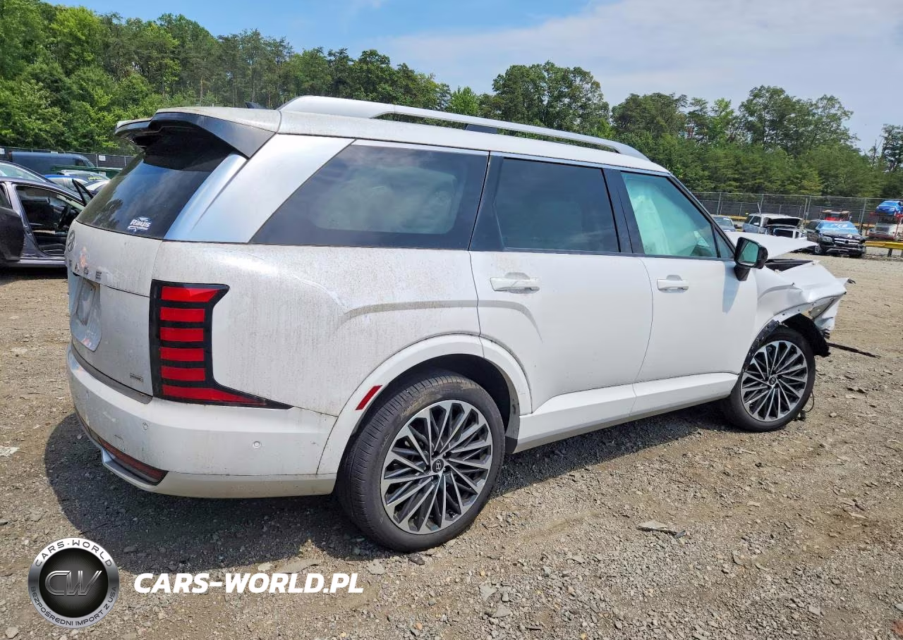 2026 Hyundai Palisade Calligraphy VIN:KM8RMESA8TU049423 - 3