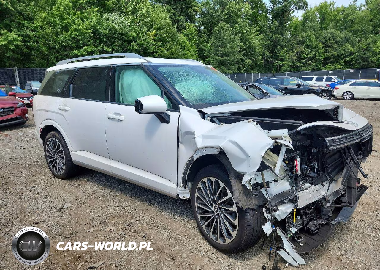 2026 Hyundai Palisade Calligraphy VIN:KM8RMESA8TU049423 - 4