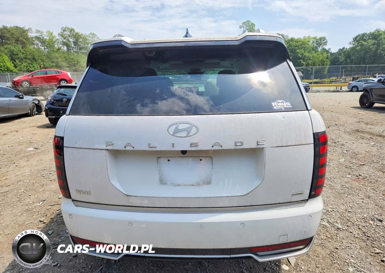 2026 Hyundai Palisade Calligraphy VIN:KM8RMESA8TU049423 - 6