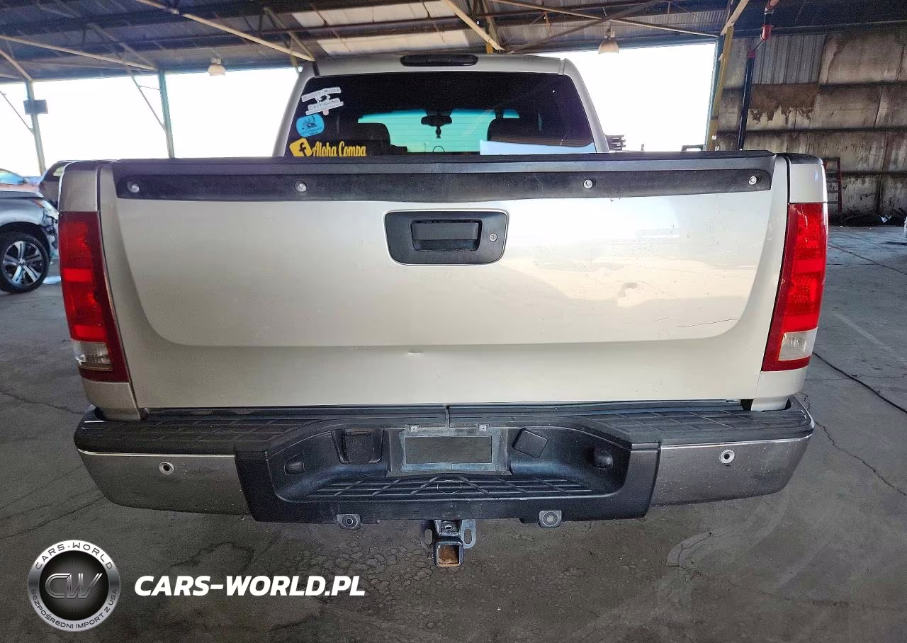 2009 GMC Sierra C1500 Hybrid VIN:2GTFC135X91131923 - 6