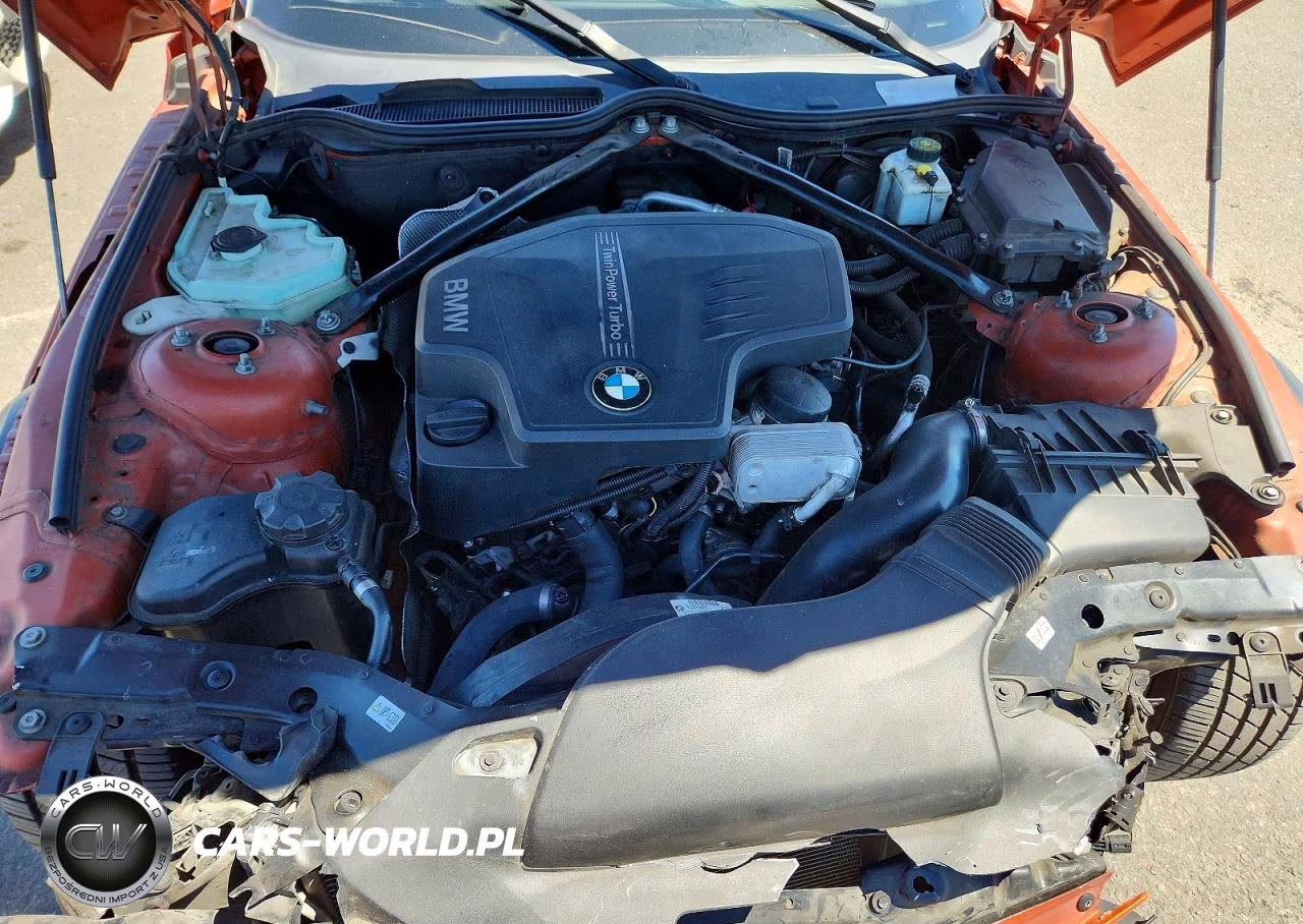 2014 BMW Z4 Sdrive28I VIN:WBALL5C51EJ105444 - 11