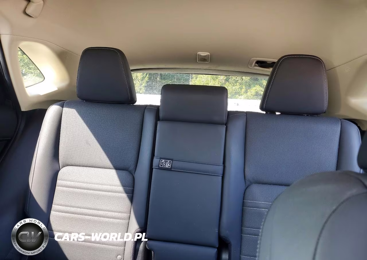 2020 Lexus Nx 300H VIN:JTJDJRDZ0L5005621 - 10