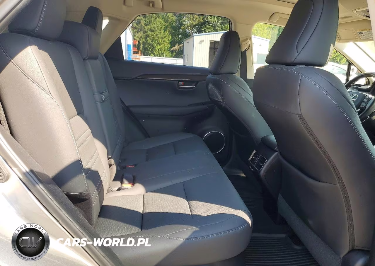 2020 Lexus Nx 300H VIN:JTJDJRDZ0L5005621 - 11