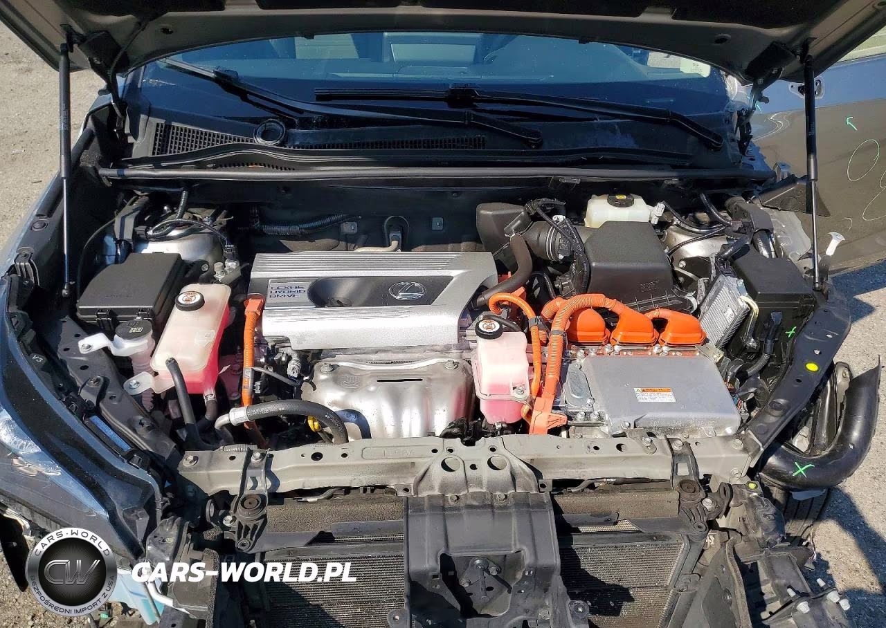 2020 Lexus Nx 300H VIN:JTJDJRDZ0L5005621 - 12