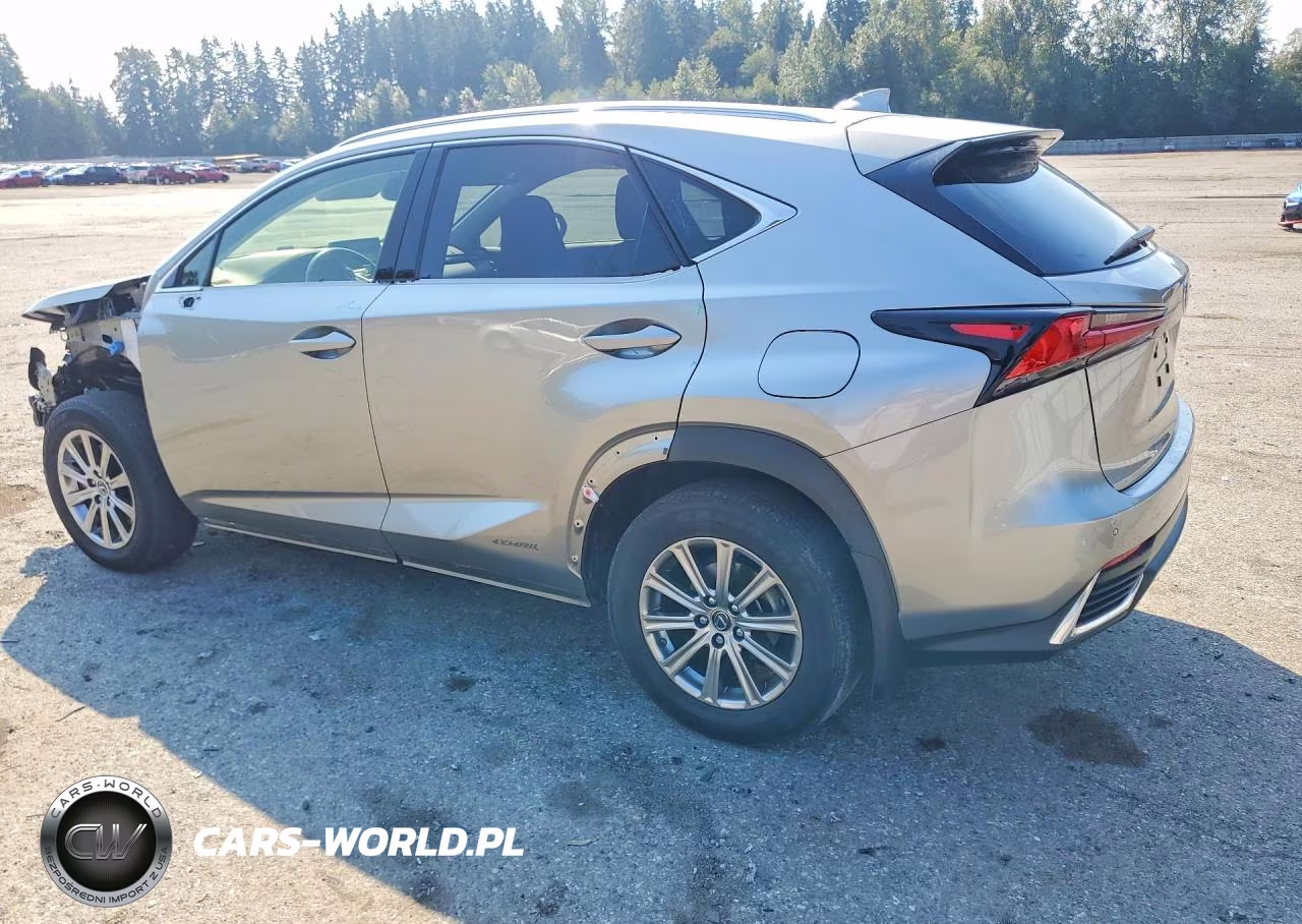 2020 Lexus Nx 300H VIN:JTJDJRDZ0L5005621 - 2