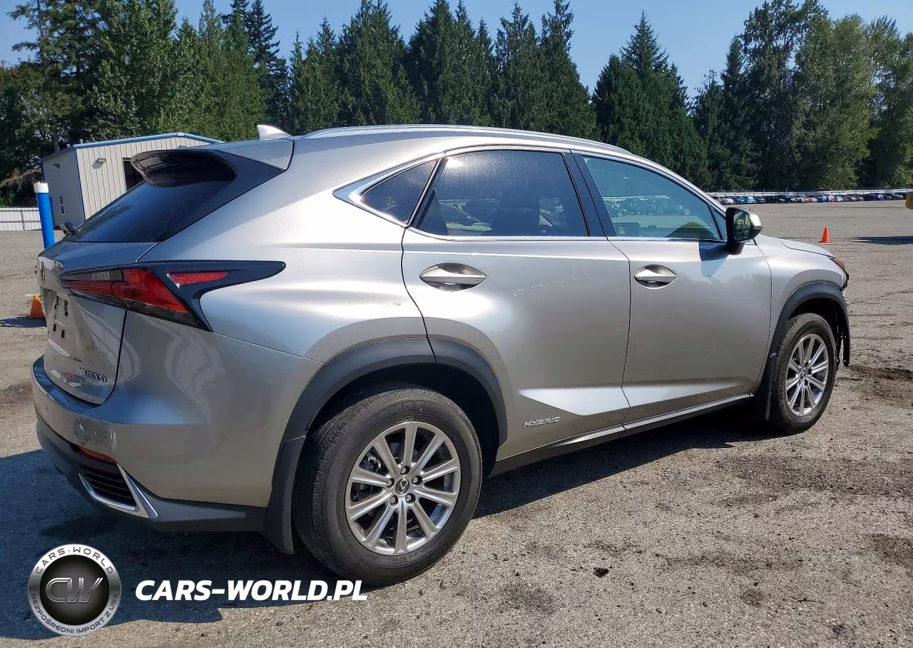 2020 Lexus Nx 300H VIN:JTJDJRDZ0L5005621 - 3