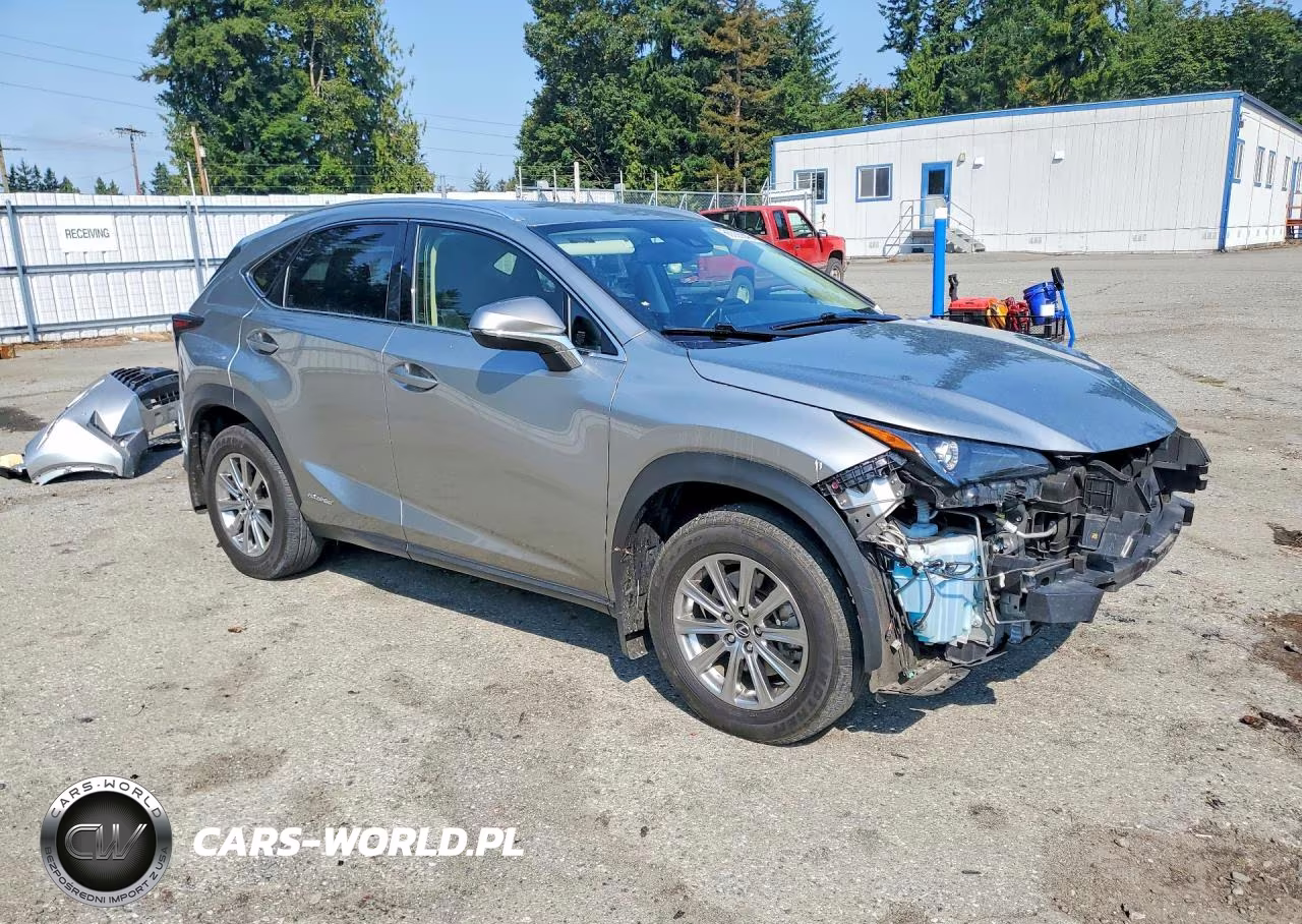 2020 Lexus Nx 300H VIN:JTJDJRDZ0L5005621 - 4