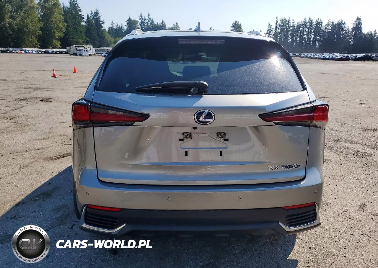 2020 Lexus Nx 300H VIN:JTJDJRDZ0L5005621 - 6