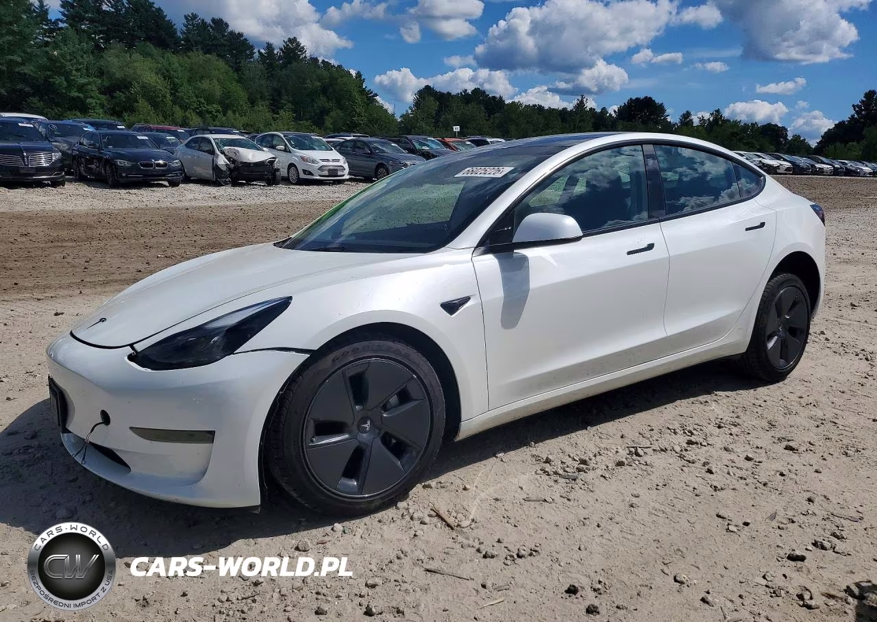 2023 Tesla Model 3 VIN:5YJ3E1EA7PF481544 - 1