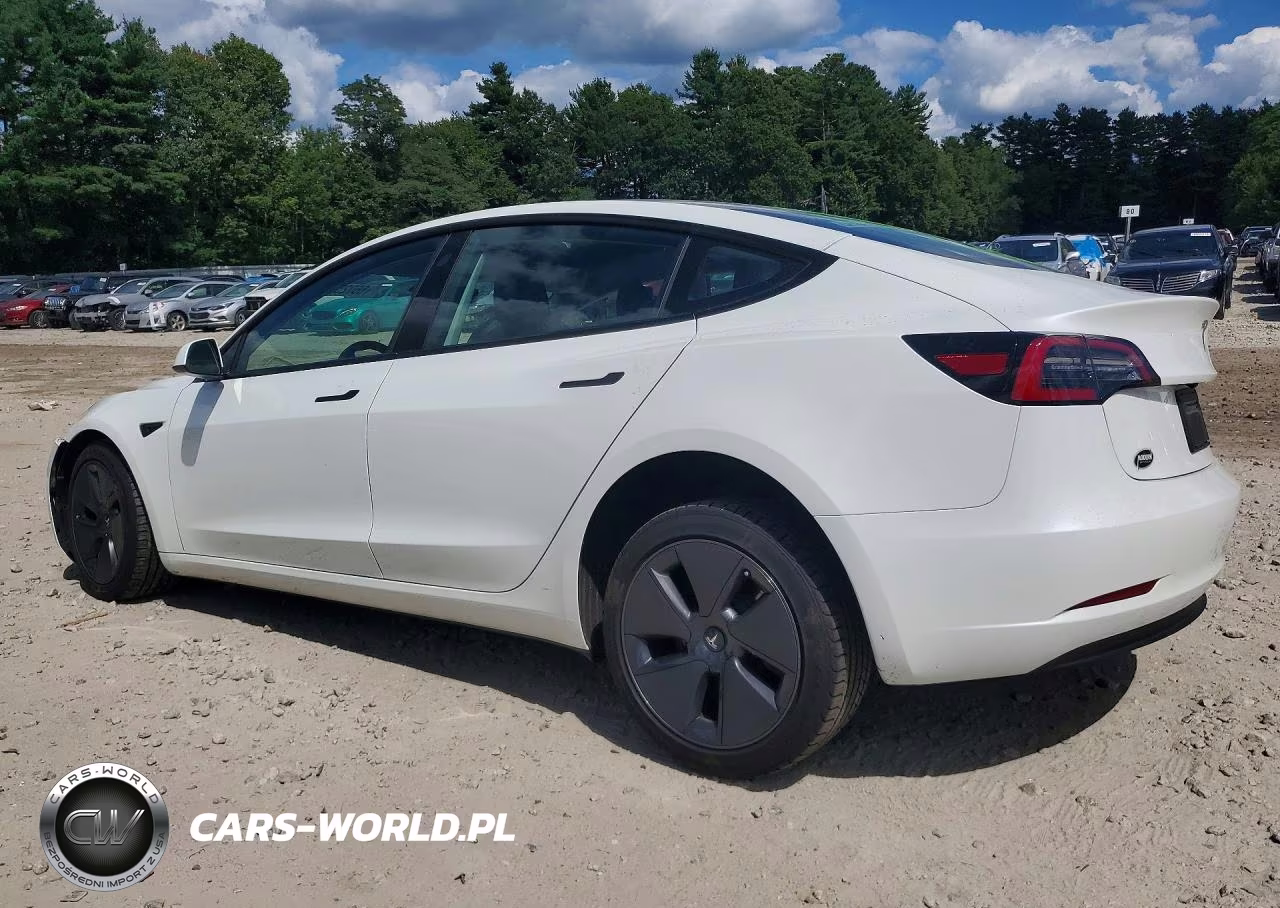 2023 Tesla Model 3 VIN:5YJ3E1EA7PF481544 - 2