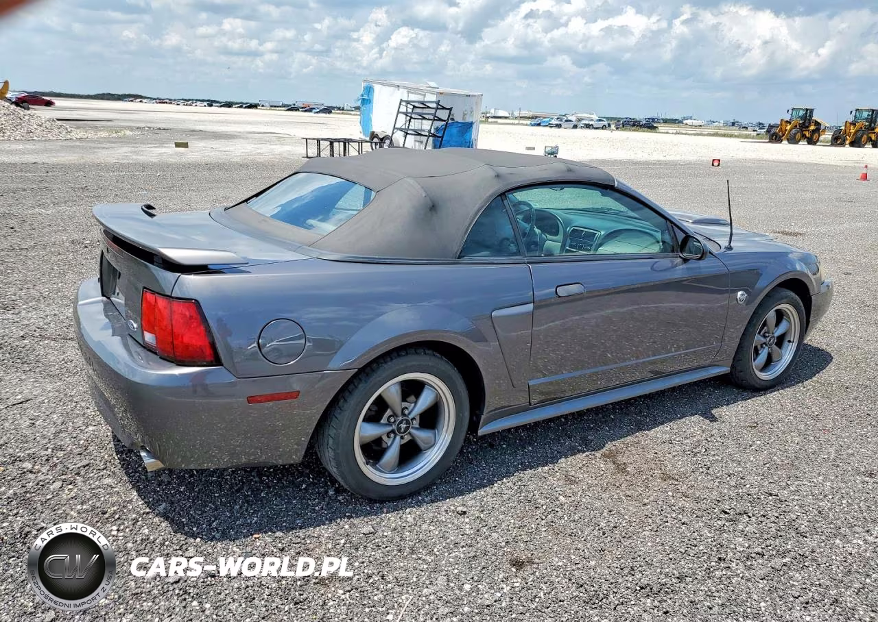 2004 Ford Mustang Gt VIN:1FAFP45XX4F210746 - 3