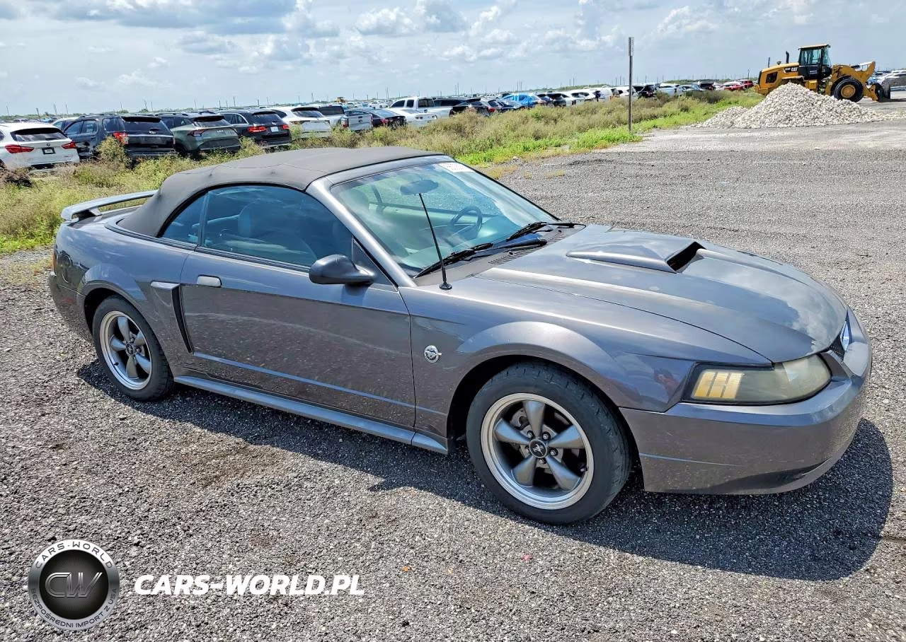 2004 Ford Mustang Gt VIN:1FAFP45XX4F210746 - 4