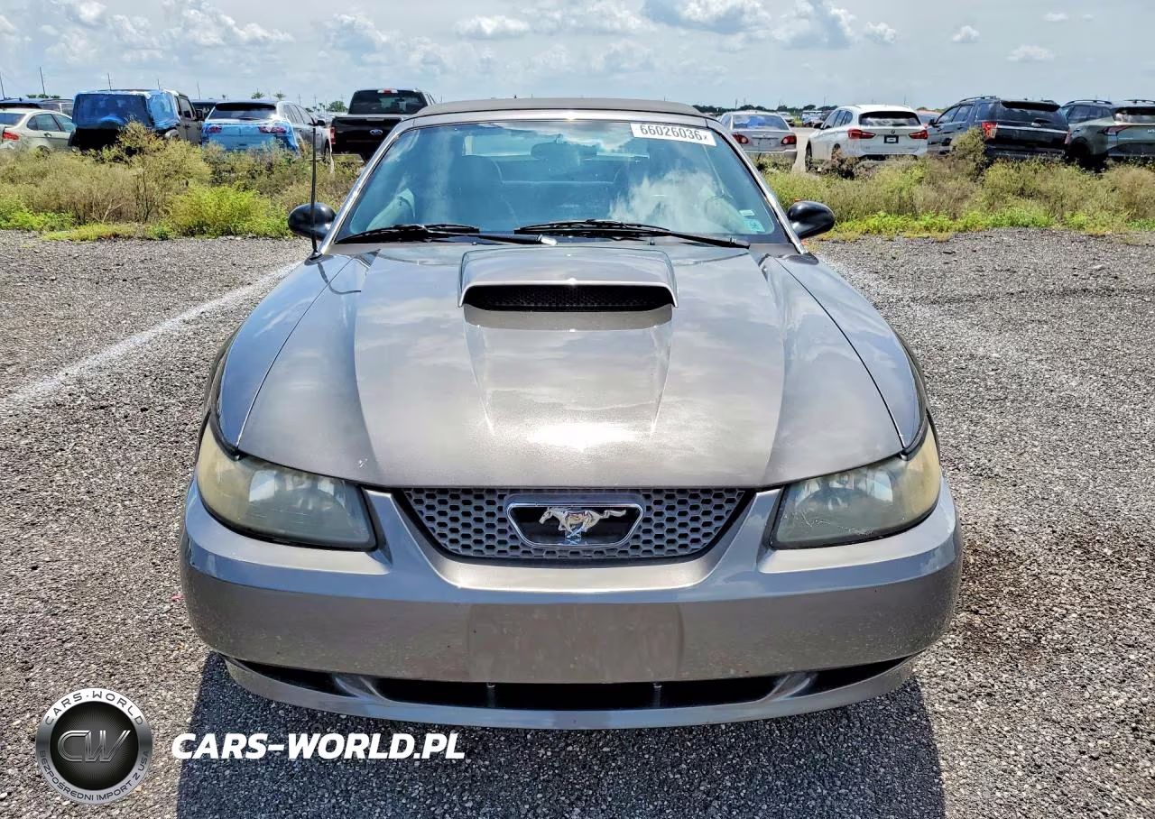 2004 Ford Mustang Gt VIN:1FAFP45XX4F210746 - 5