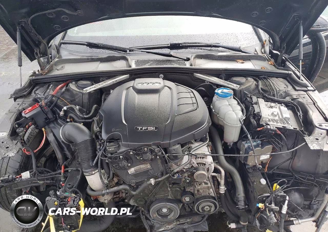 2019 Audi A4 Premium Plus VIN:WAUENAF41KN003371 - 11