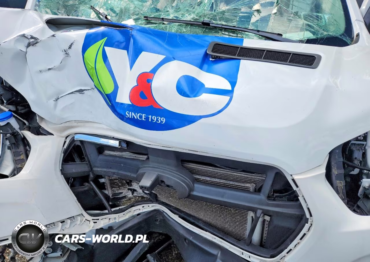 2020 Ford Transit T-250 VIN:1FTBR1C86LKA36080 - 12