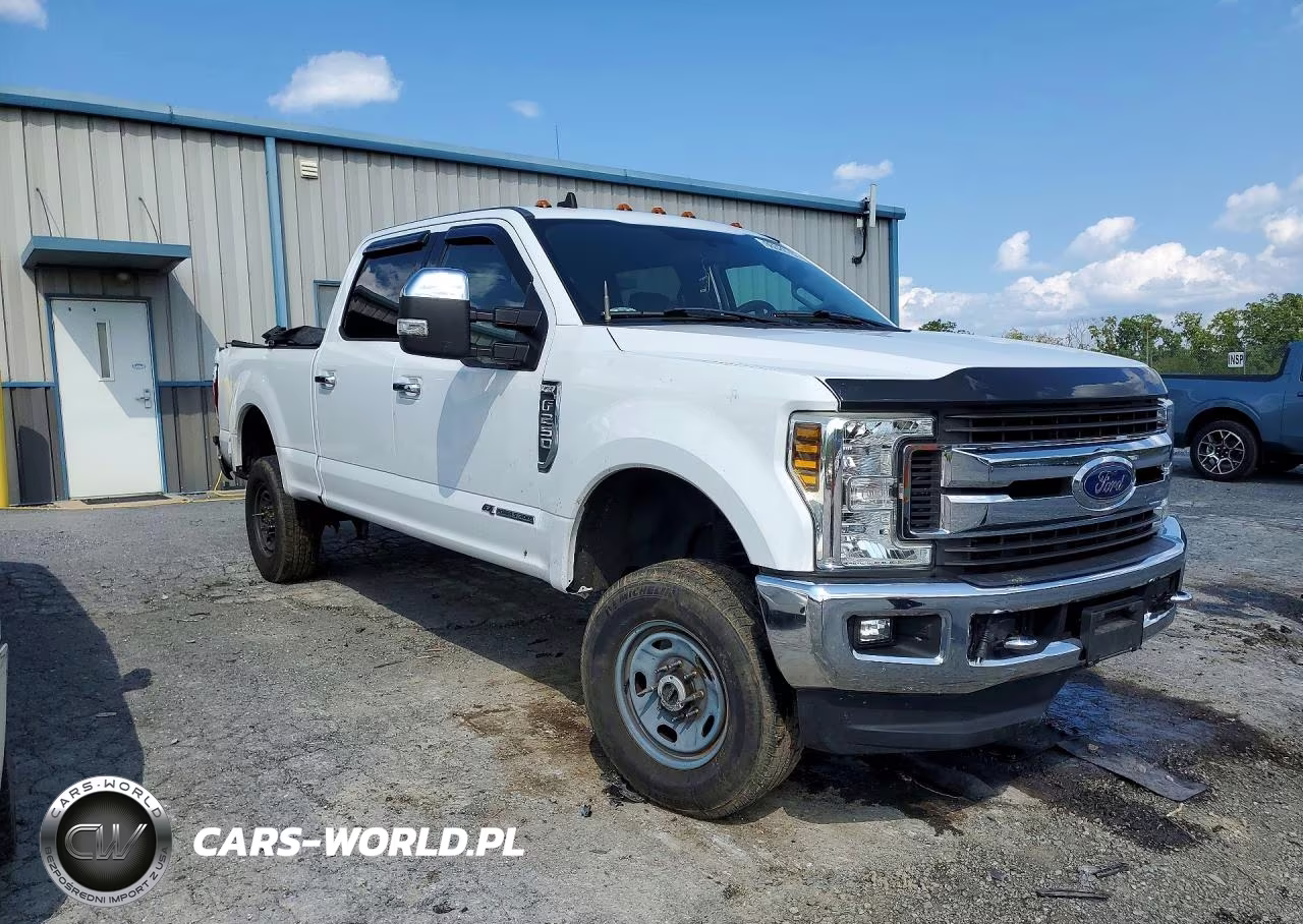 2019 Ford F250 Super Duty VIN:1FT7W2BT7KEG67539 - 4