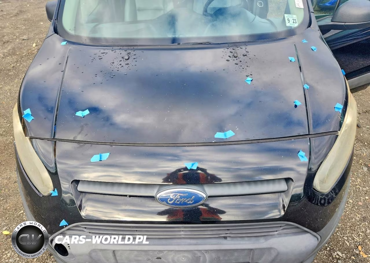 2018 Ford Transit Connect Xl VIN:NM0LS7E77J1366567 - 12