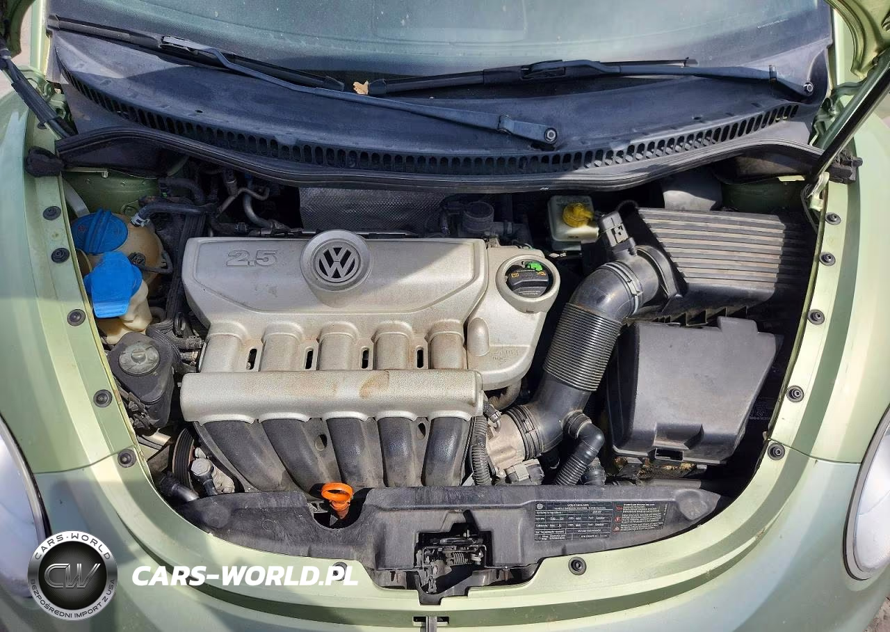 2009 Volkswagen New Beetle S VIN:3VWRG31C89M509452 - 11
