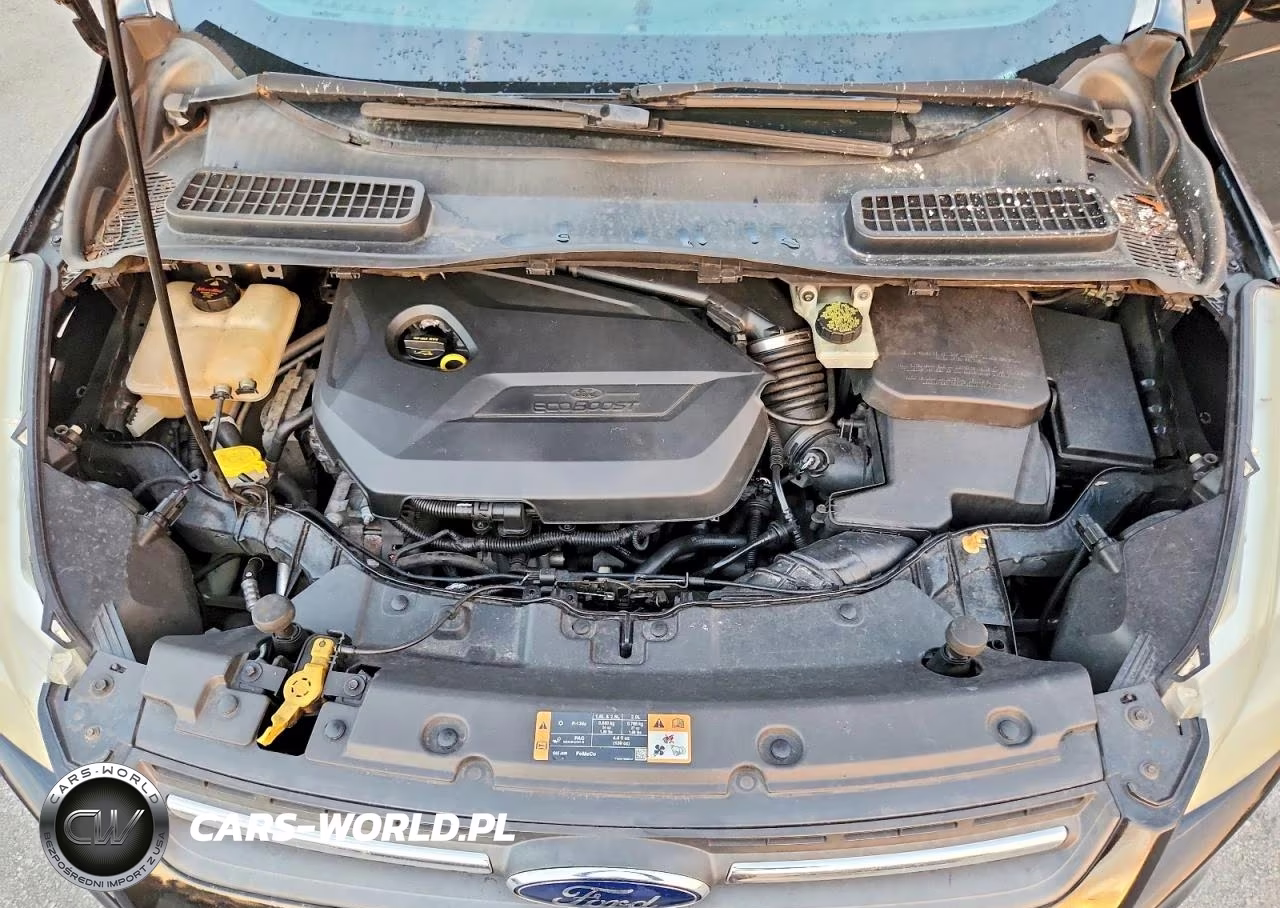 2015 Ford Escape Se VIN:1FMCU0GXXFUA14909 - 12