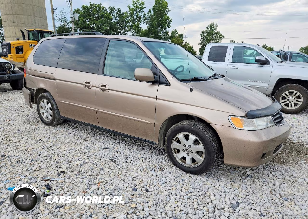 2004 Honda Odyssey Exl VIN:5FNRL18944B013798 - 4