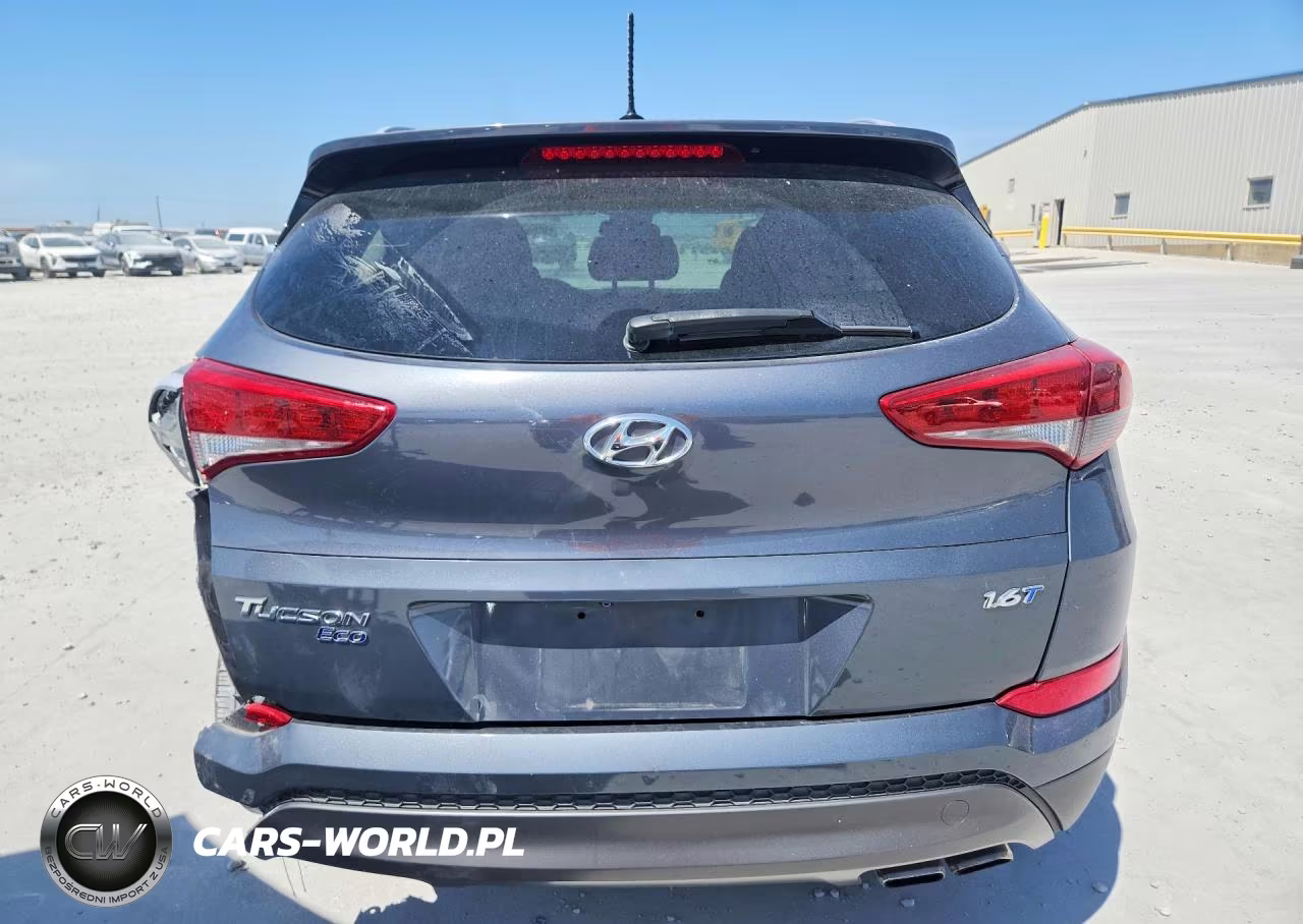 2016 Hyundai Tucson Eco VIN:KM8J33A28GU047854 - 6