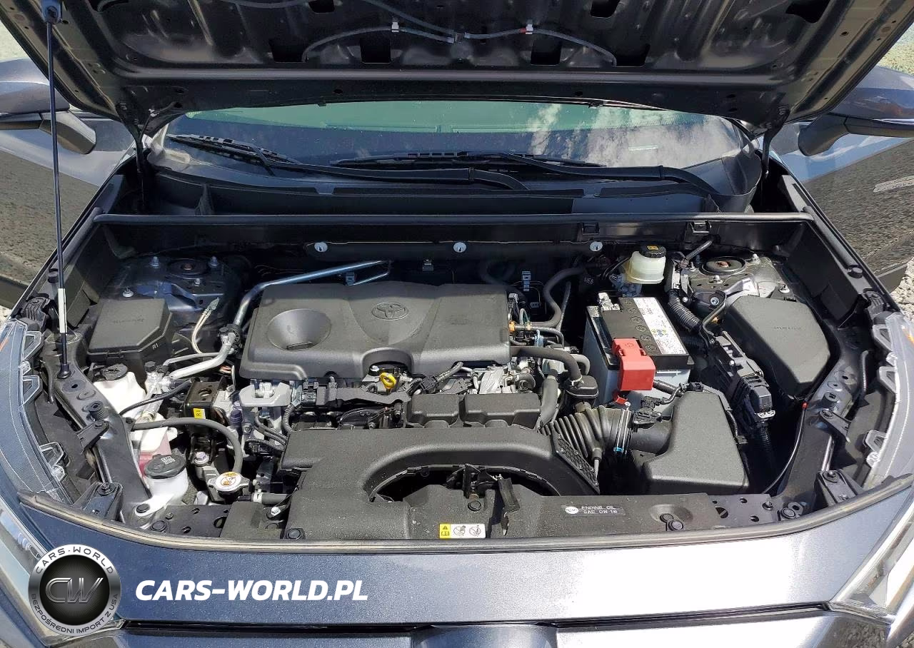 2019 Toyota Rav4 Xle VIN:JTMP1RFVXKD025809 - 12