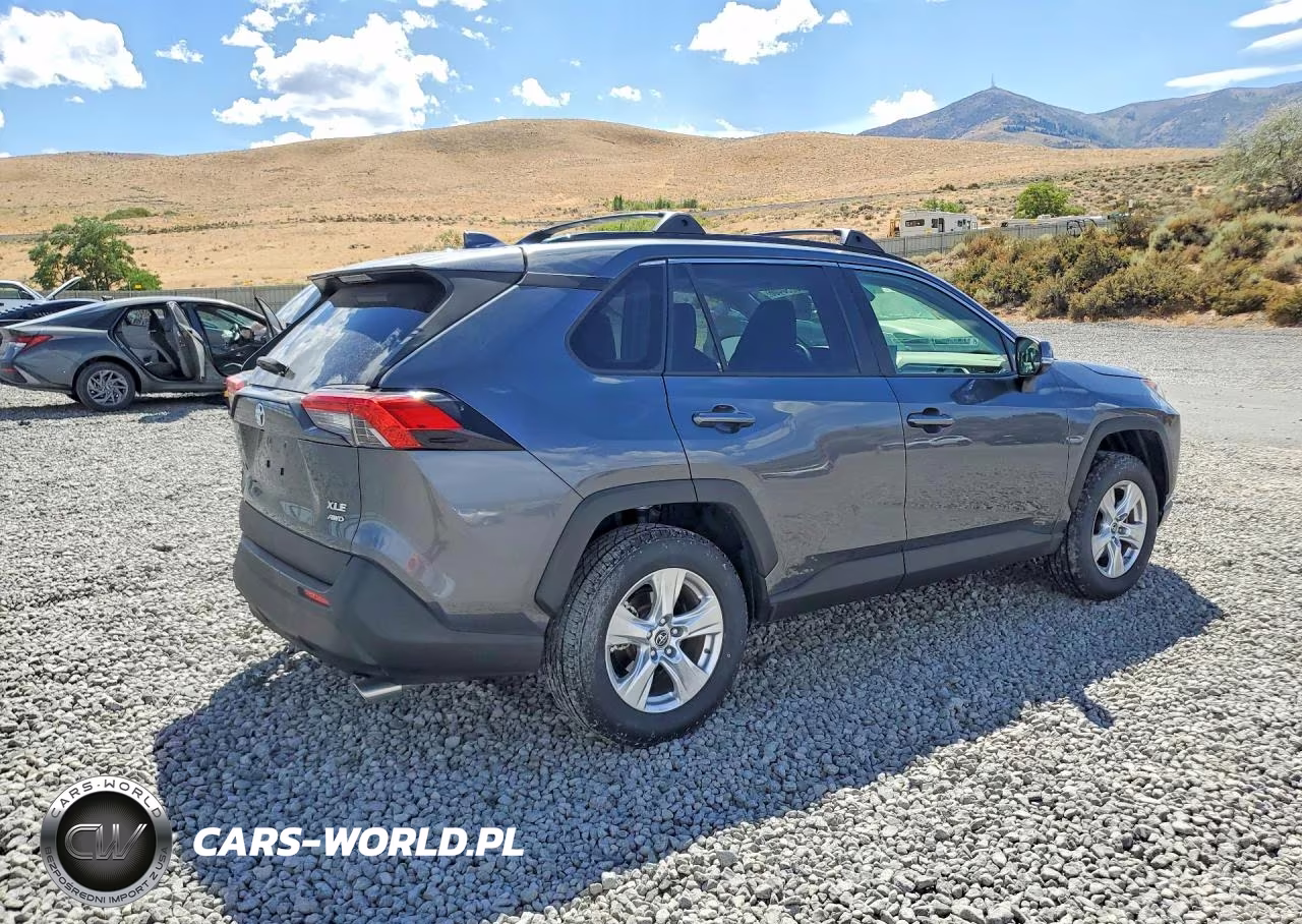 2019 Toyota Rav4 Xle VIN:JTMP1RFVXKD025809 - 3