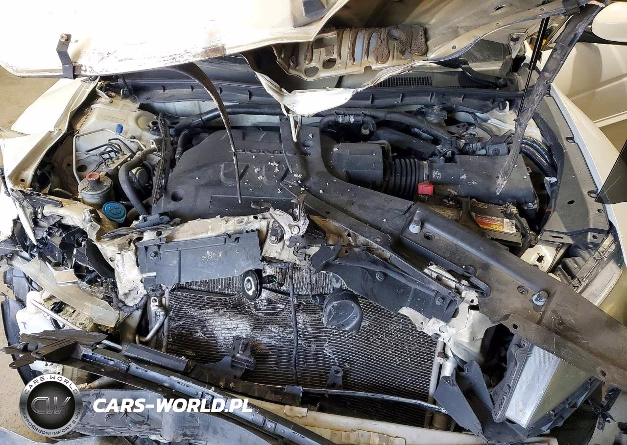 2010 Honda Accord Crosstour Exl VIN:5J6TF2H55AL008922 - 12