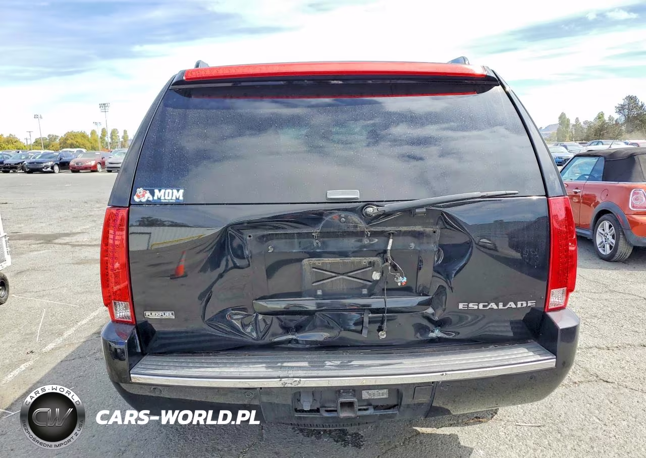 2009 Cadillac Escalade Luxury VIN:1GYFC232X9R239357 - 6
