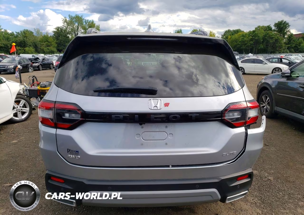 2025 Honda Pilot Elite VIN:5FNYG1H86SB027237 - 6